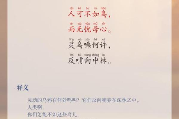 反哺之私打一生肖‌ → 羊（未羊跪乳，反哺恩亲）