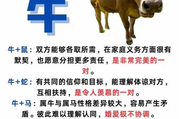 属牛的配偶什么属相最合适 属牛的配属什么的婚姻最合适