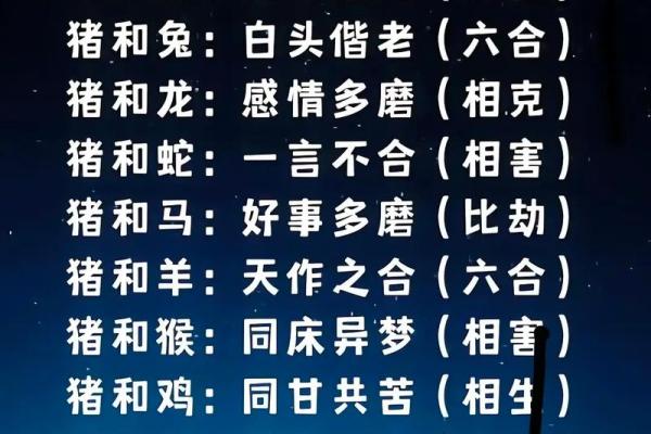 男猪女鼠的属相婚配指数高吗两人在一起合适吗