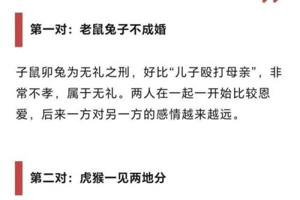 男猪女鼠的属相婚配指数高吗两人在一起合适吗