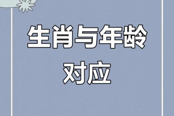 一三一四中本期是什么生肖