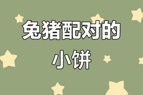 87兔男95猪女在一起婚姻会幸福吗，属相配对有没有得把眼睛擦亮了？