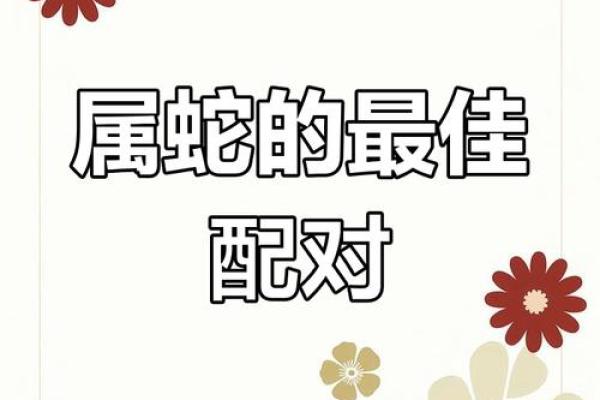 蛇最合适的配偶属相 蛇的配偶属什么最不合适