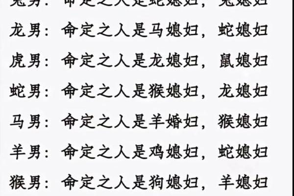 兔和马属相婚配是否合适？解析两者性格与婚姻契合度