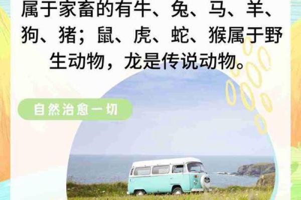 听说男虎女蛇是绝配，想了解他们在婚姻和感情中具体有哪些优势