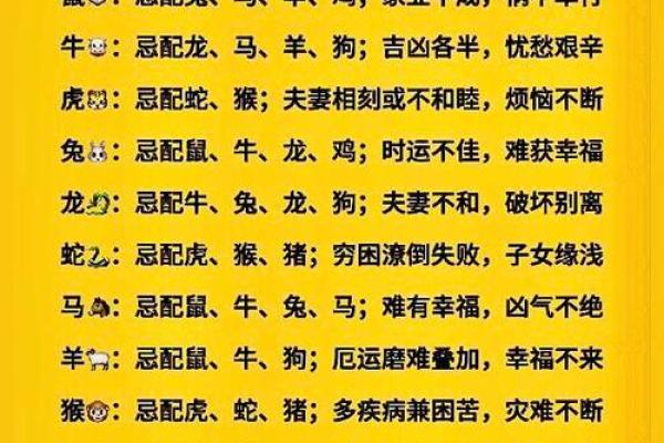 鼠和谁是天生一对的最佳配对生肖解析