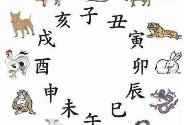 龙和猴子属相合不合 龙和猴子属相合不合婚