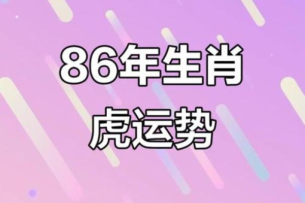 1986属虎最佳配对 1986属虎最佳配对星座