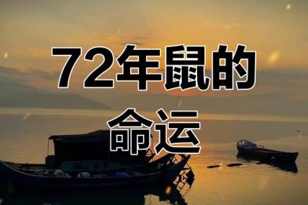 72年鼠人两段孽缘对事业和家庭的影响有哪些，应该如何避免或处理？