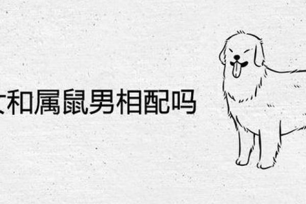 属狗男和属鼠女的婚姻相配吗性格合不合会不会吵架
