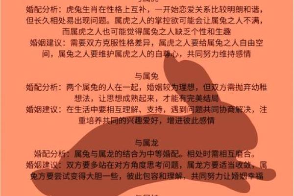 兔和羊的婚姻配对是否真的如传说中那样和谐美满？