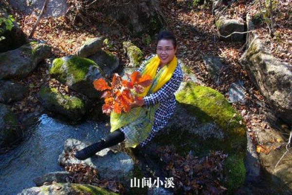 满山塞野三大生肖 满山遍野是啥生肖
