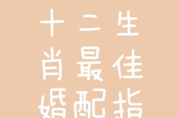 属牛的人和属鼠的人在婚姻配对中是否真的合适呢？