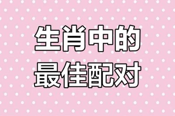 男猪女虎生肖配对婚姻是否幸福长久需要注意什么