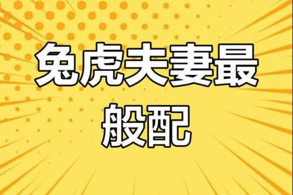 1993年属鸡人和1987年属兔的婚姻是否相克？真实案例分享