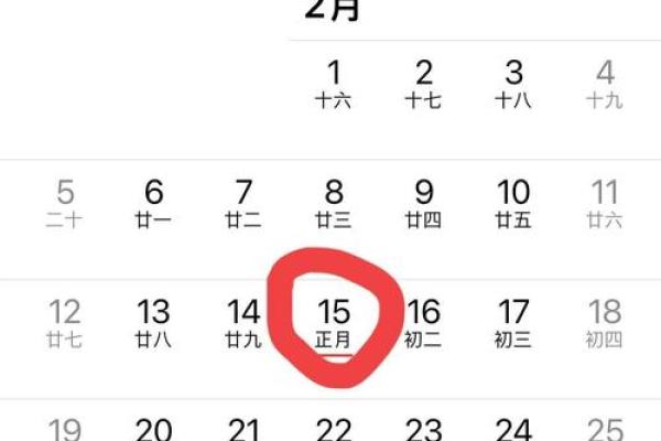 请问2012年的大年初一在公历的几月几号？想确认具体日期