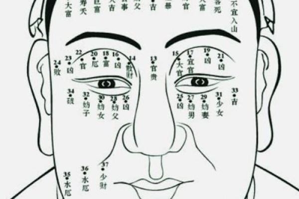 看面相算命图解 女人五官看相算命图解