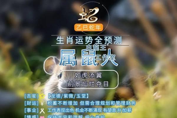2025年属鼠女性需要注意哪些健康问题，如何提前预防化解