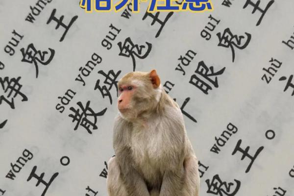 属猴和什么属相不合 属猴和什么属相不合相冲 属猴和什么属相不合 属猴和什么属相不合相冲