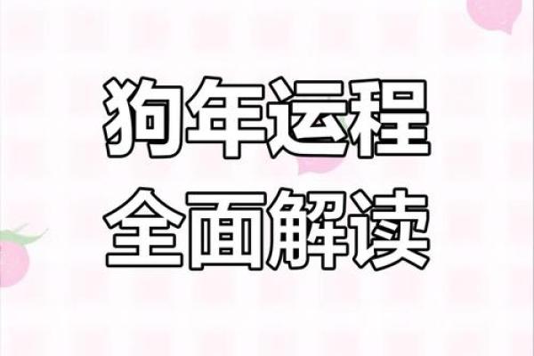 属狗人2025年运势详解：事业财运与健康需要注意哪些方面？