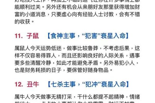 不能养猫的属相 什么属相不能养猫养宠物还要看五行八字有点奇特 2)