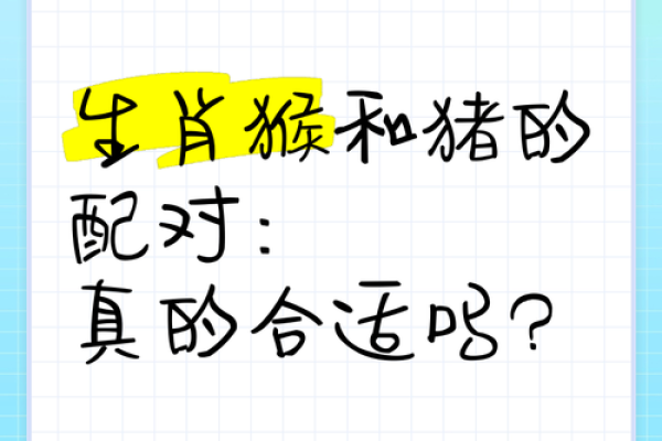 两个属猴的在一起合不合 两个属猴的在一起合不合04年