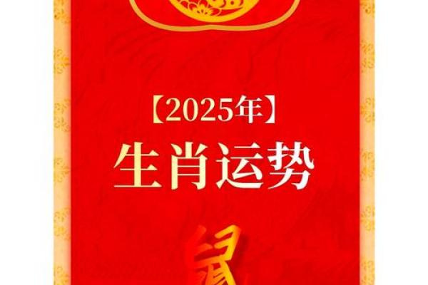属鼠人2025年财运事业爱情健康全方位运势解析