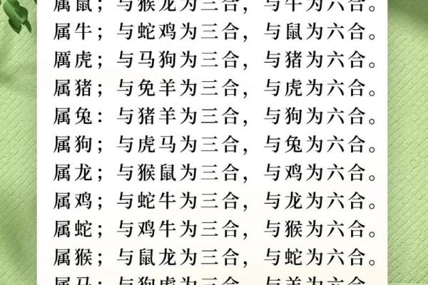 属虎的人和属狗的人结婚会幸福吗？婚姻配对情况解析