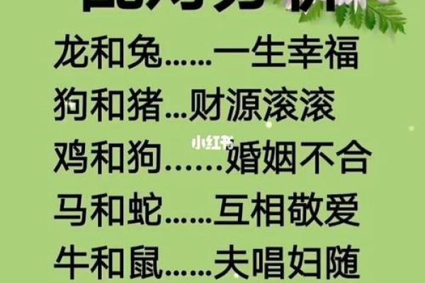 马和鼠的属相合不合 马兔两生肖相冲吗 马和鼠的属相合不合 马兔两生肖相冲吗