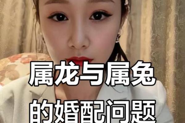 1999年兔和2000年龙婚配的生肖相冲问题如何化解
