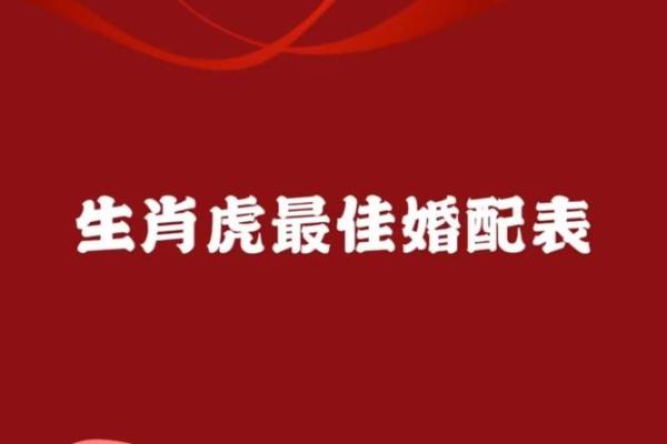 虎和兔的属相婚配是否相合？解析传统生肖配对中的吉凶关系
