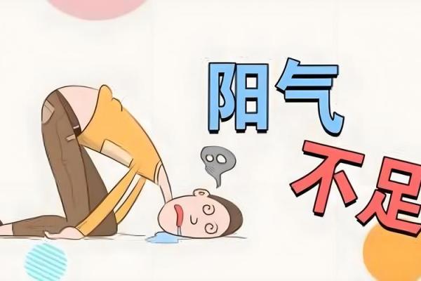 病人卧不能坐,坐则晕眩属 病人坐不能卧,卧则气逆