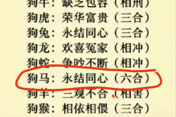 属狗和属虎的生肖配对指数高吗？性格合不合得来？