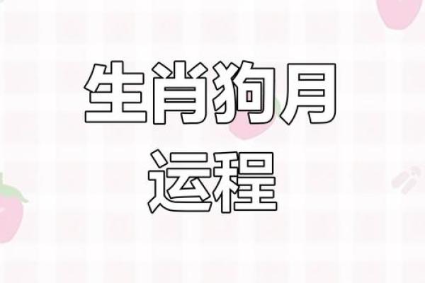 2023年属狗的今年几岁，虚岁和周岁的计算方法详解