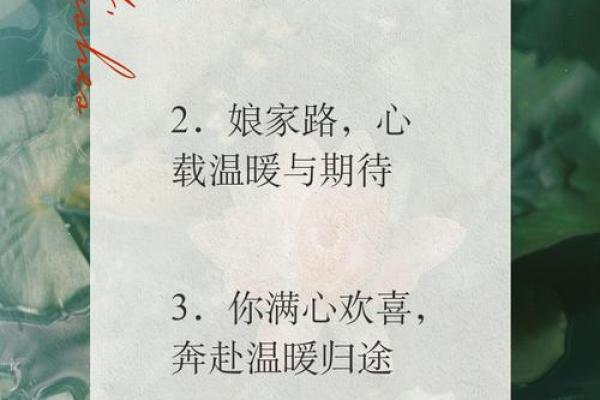 回娘家的感觉真好短句 回娘家的简短句子
