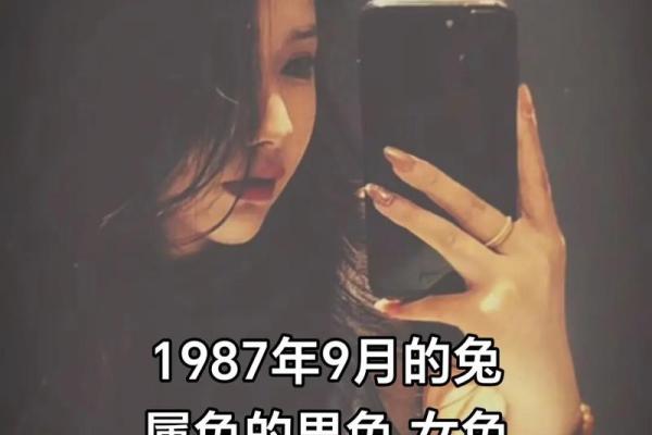 87年属兔的婚姻运势如何，哪一年容易有感情危机？