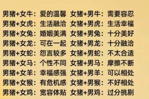 84男鼠婚配属相 84鼠男和84鼠女婚配