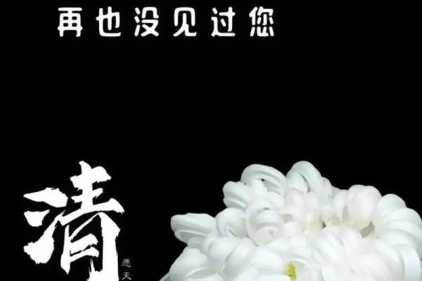 清明节可以走亲访友吗 清明节第二天可以走亲戚吗