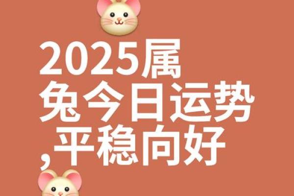 属兔的人今日运势360星座网