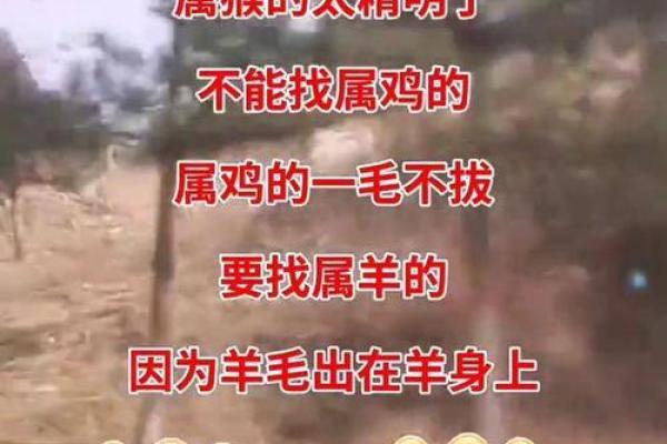 属相不合就真的不能结婚吗 找对象该不该相信属相