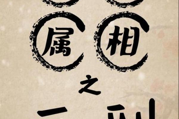 属相不合就真的不能结婚吗 找对象该不该相信属相