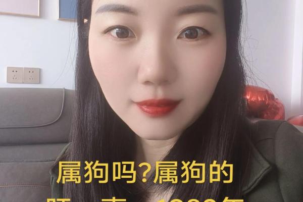 82年最佳婚配属相 82年的狗配什么属相