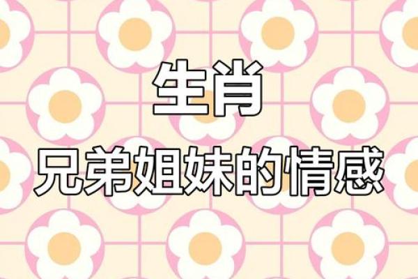 情深似海打一生肖答案揭晓，原来是指着个重情义的动物