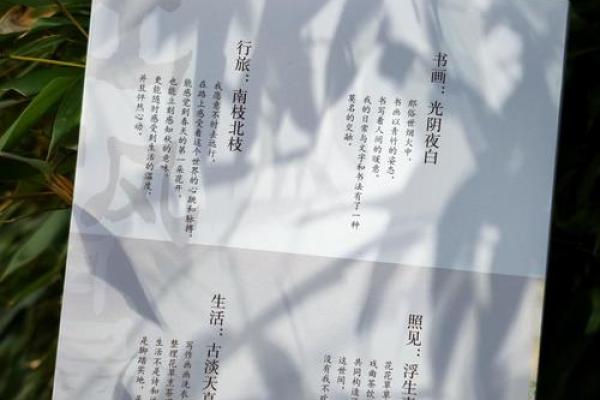 老八辈子是什么意思(老八辈子是什么意思网络用语)