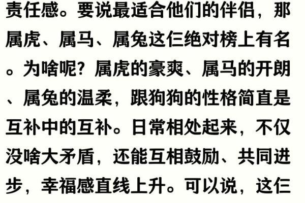 从生肖配对角度分析属狗和属兔的婚姻是否长久幸福