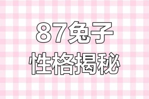 87年出生的生肖兔一生婚姻状况解析，是否会幸福美满？