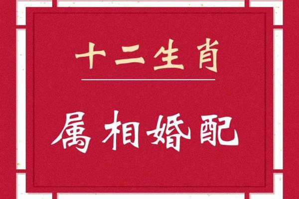 生肖虎的婚配最佳选择是哪个属相最合适？