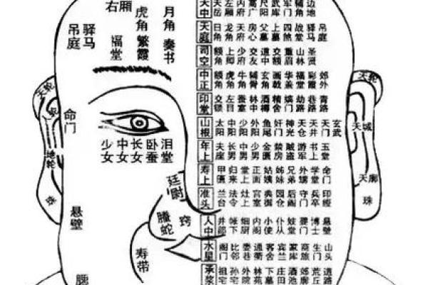 男人面相算命图解 男人面相算命图解