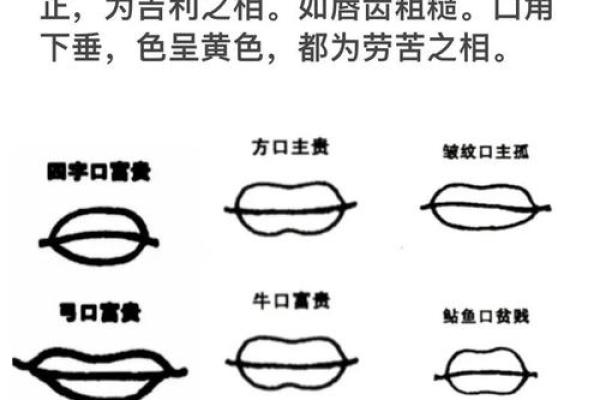男人面相算命图解 男人面相算命图解