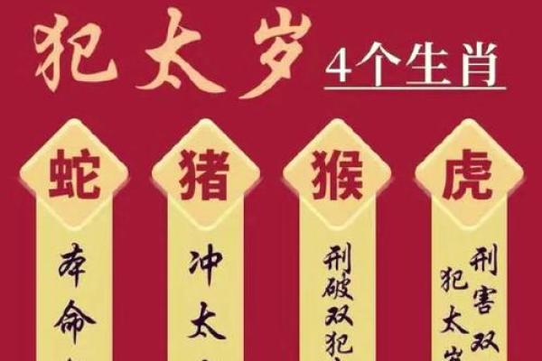 属龙和属虎的婚配是否相合？解析传统生肖配对说法